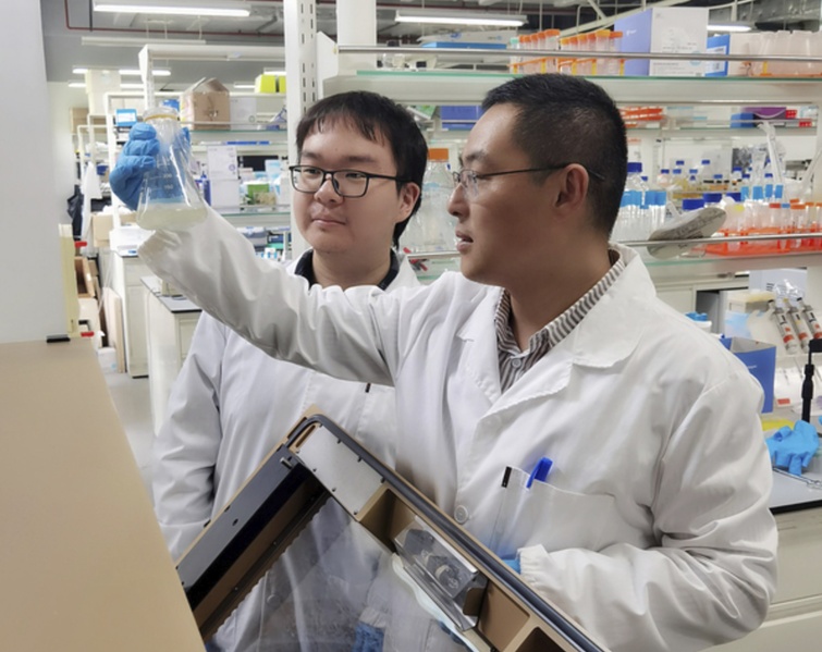 A natural sweetener serves as the new carbon source for Escherichia coli growth