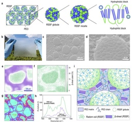 A new strategy for bionic meso-assembly-processing engineering