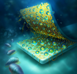 Life science and technology