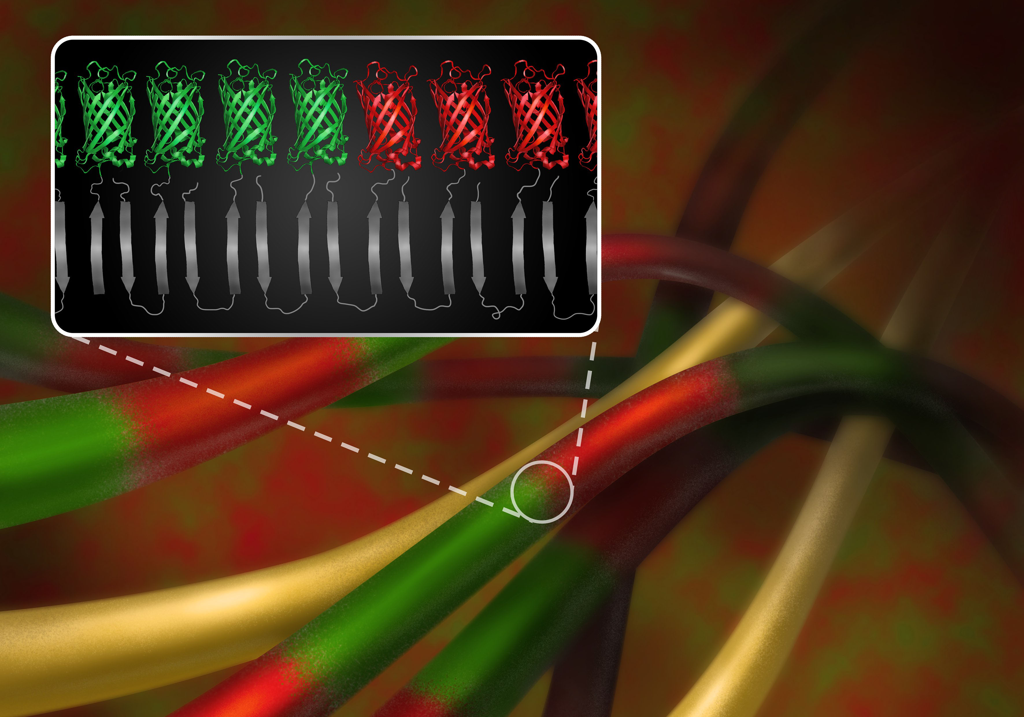 SPST Research Team Develops Diverse Supramolecular Nanofiber Networks