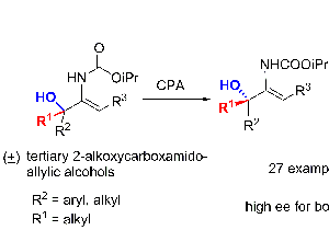 New Research Achieves Highly Enantioseselective Synthesis of Tertiary 2-Amidoallylic Alcohols